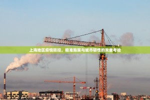 上海地区疫情防控，精准施策与城市韧性的双重考验