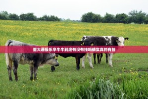 重大通报乐享牛牛到底有没有挂吗确实真的有挂