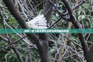 推荐一款飞禽走兽有没有挂真的确实有挂