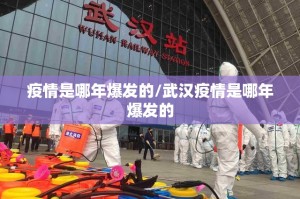 疫情是哪年爆发的/武汉疫情是哪年爆发的