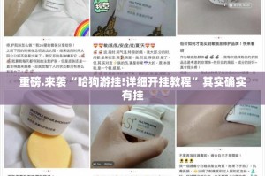 重磅.来袭“哈狗游挂!详细开挂教程”其实确实有挂