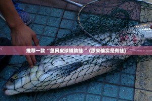 推荐一款“鱼网皮球辅助挂 ”(原来确实是有挂)