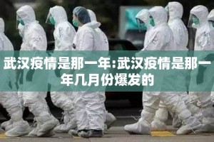 武汉疫情是那一年:武汉疫情是那一年几月份爆发的