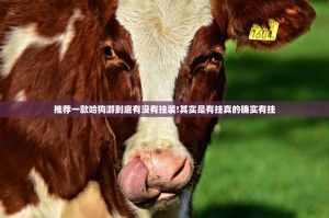 分享实测晟和互动安装挂果然有挂