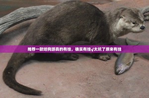 推荐一款哈狗游真的有挂，确实有挂√太坑了原来有挂