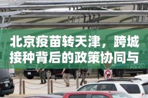 分享实测新灵心怎么开挂一专业师傅带你赢确实真的有挂