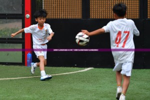 分享实测“微乐窝龙到底是不是挂”@太坑了真的有挂