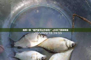 推荐一款金牛有没有透视挂(原来确实是有挂)
