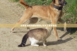 分享实测哈狗游安装挂√太坑了原来有挂