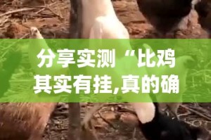 分享实测“比鸡其实有挂,真的确实有挂”√其实是有挂