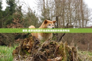 重磅.来袭哈狗游开挂透视辅助软件果然有挂