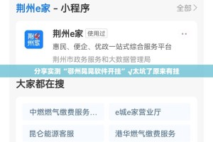 分享实测“鄂州晃晃软件开挂”√太坑了原来有挂