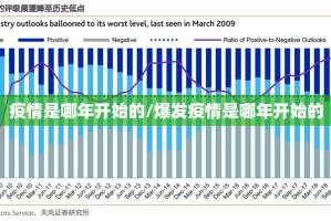 疫情是哪年开始的/爆发疫情是哪年开始的