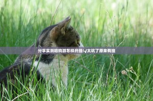 分享实测哈狗游怎样开挂!√太坑了原来有挂