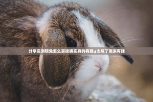 分享实测呗兔怎么买挂确实真的有挂√太坑了原来有挂