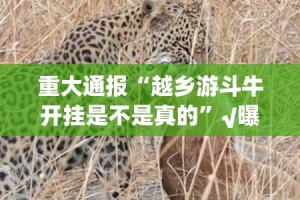 重大通报蜂娱棋牌2怎么玩提高胜率果然有挂