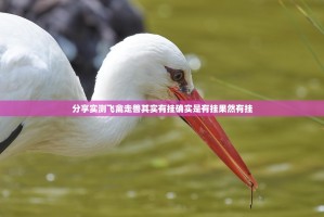 分享实测飞禽走兽其实有挂确实是有挂果然有挂