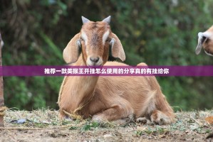 推荐一款美猴王开挂怎么使用的分享真的有挂给你