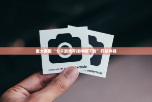 重大通报方片十三张辅助软件(确实有挂)