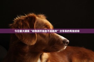 重大通报毛豆互娱透视辅助挂原来真可以开挂