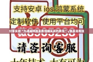 推荐一款新八戒开挂在哪里买呢其实确实有挂
