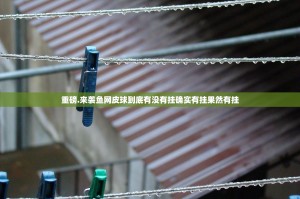 重磅.来袭鱼网皮球到底有没有挂确实有挂果然有挂