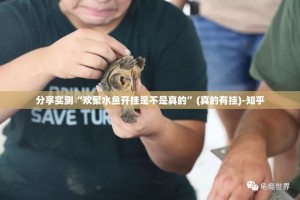 推荐一款“鲨鱼扑克到底有挂吗”√曝光透视猫腻