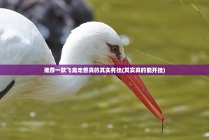 推荐一款飞禽走兽真的其实有挂(其实真的能开挂)