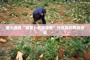 重大通报“拔萝卜有挂没有”分享真的有挂给你