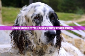 推荐一款中至麻将怎么开挂开挂技巧√曝光透视猫腻