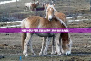 推荐一款梦马娱乐有挂没有(原来确实是有挂)