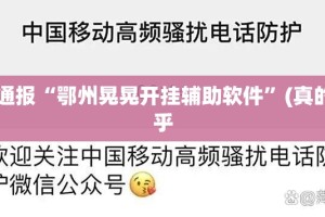 今日重大通报“鄂州晃晃开挂辅助软件”(真的有挂)-知乎
