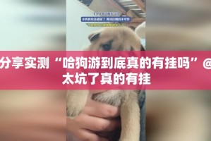 重磅.来袭边锋掼蛋到底有没有挂吗(其实真的能开挂)