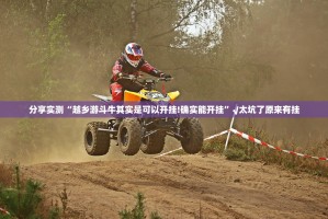 推荐一款多乐跑胡子为什么一直输真的确实有挂