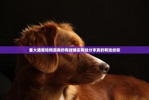 重大通报哈狗游真的有挂确实有挂分享真的有挂给你