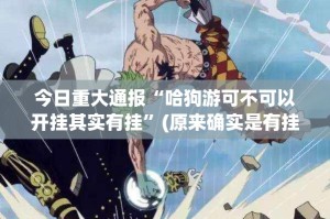 今日重大通报“哈狗游可不可以开挂其实有挂”(原来确实是有挂)