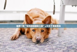 分享实测“鱼网皮球开挂透视教程”(真的有挂)-知乎