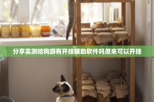 今日重大通报酷玩部落怎么开挂开挂技巧2025（果然有挂）