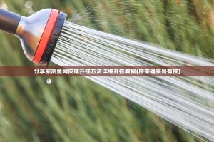 分享实测鱼网皮球开挂方法详细开挂教程(原来确实是有挂)
