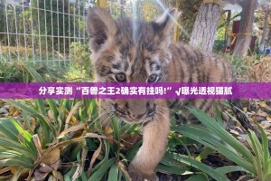 重磅.来袭九天揽月到底怎么开挂分享真的有挂给你