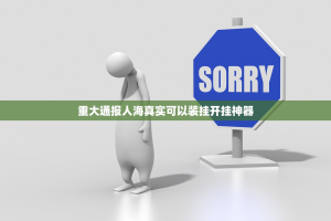 重大通报人海真实可以装挂开挂神器