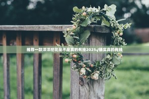 推荐一款洋洋挖花是不是真的有挂2025√确实真的有挂