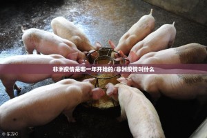 重磅.来袭永胜联盟到底有没有挂确实真的有挂