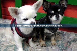 重大通报经典联盟有没有挂,确实有挂√曝光透视猫腻