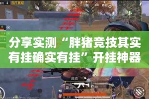 重磅.来袭全民游戏果然有挂确实有挂开挂神器