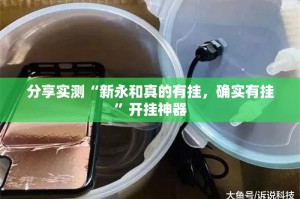 分享实测“新永和真的有挂，确实有挂”开挂神器