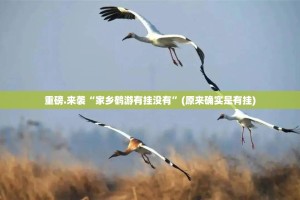 重磅.来袭“家乡鹤游有挂没有”(原来确实是有挂)