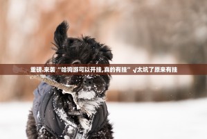 分享实测牛气冲天真的可以开挂真的有挂果然有挂