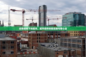 合肥疫情下的超市，城市保供的稳定器与暖心站