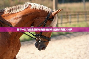 推荐一款飞禽走兽的确有挂确实有挂(真的有挂)-知乎